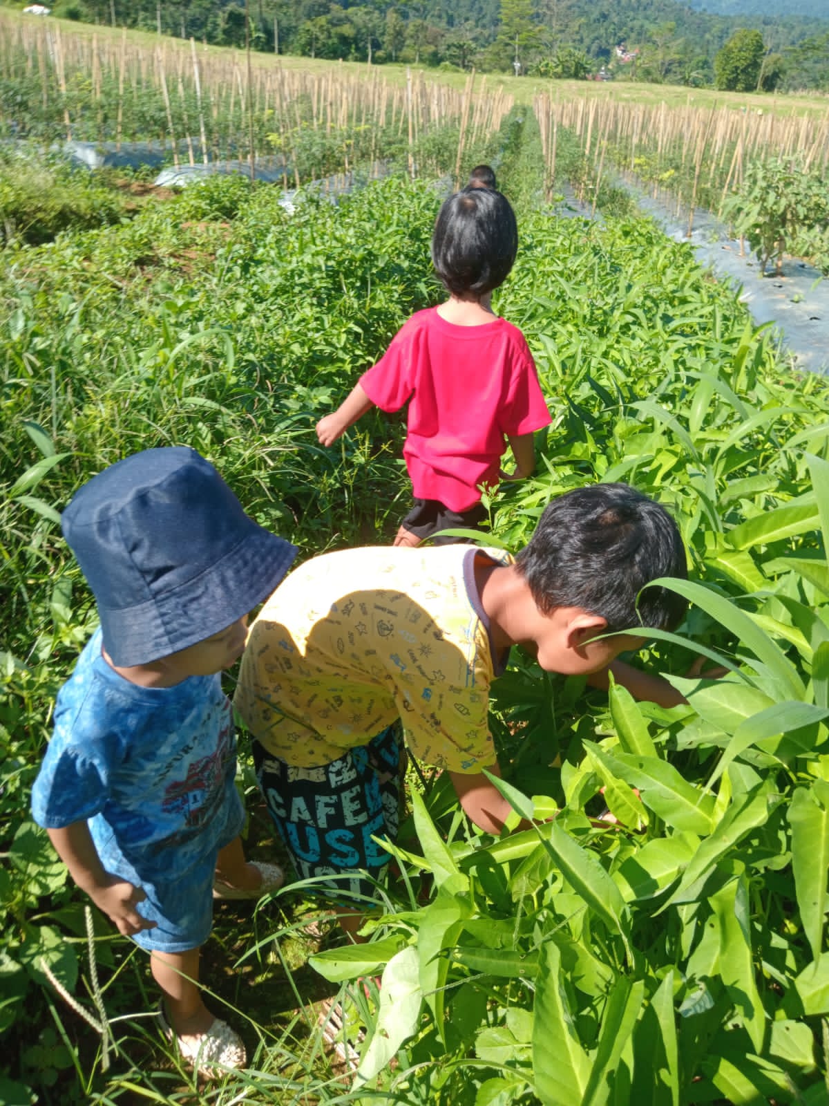 Area Bermain