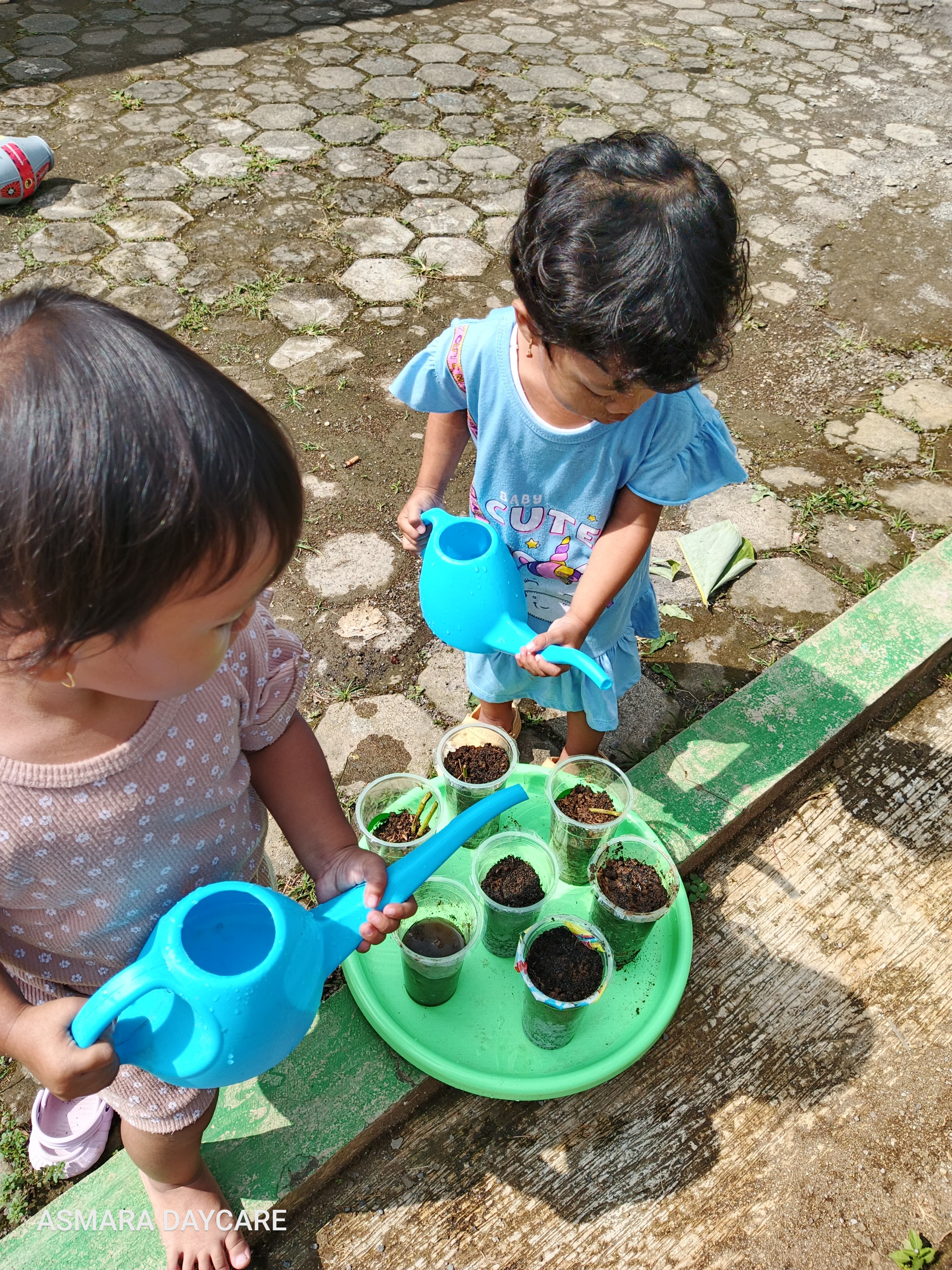 Program Bayi